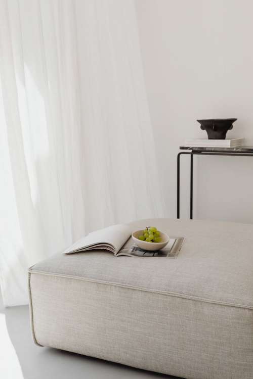 Magazine and grapes in a bowl on a linen couch