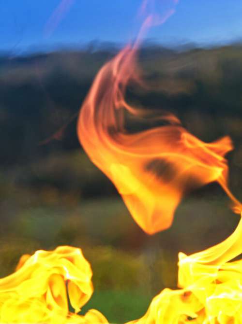Camp Fire Flame No Cost Stock Image