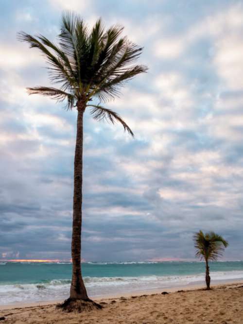Tropical Beach Sky No Cost Stock Image