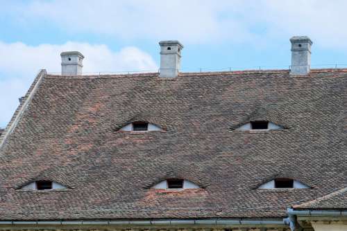 Roof Windows Shaped Like Eyes