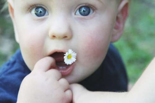 Baby Face Young No Cost Stock Image