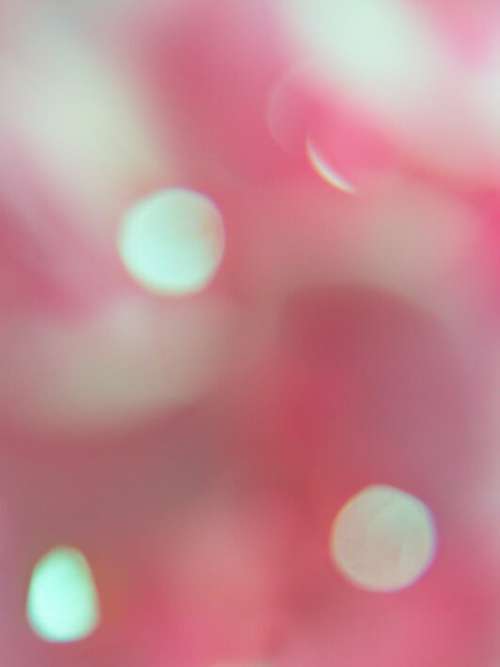 Bokeh Abstract Background No Cost Stock Image