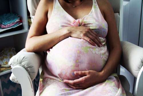Pregnant woman Pregnancy No Cost Stock Image