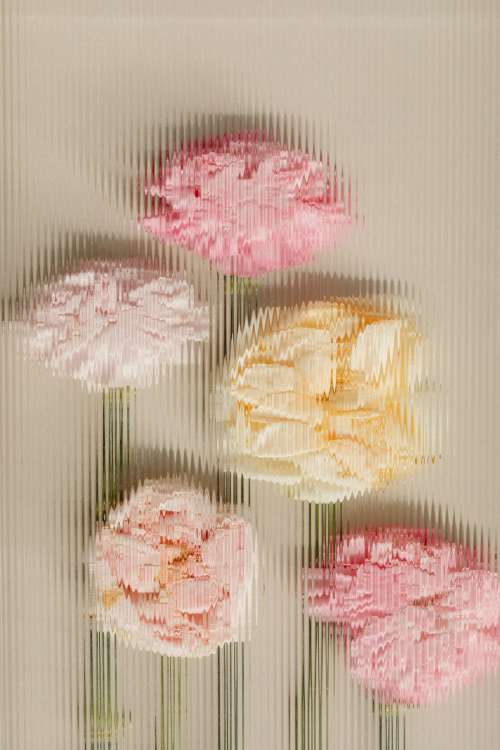 56 background free photos - flowers - glass - wallpaper