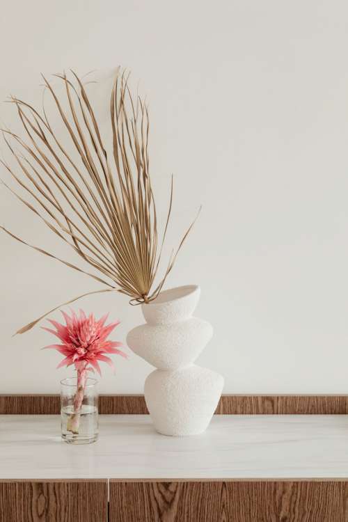 Aechmea fasciata - silver vase - urn plant - Bromeliaceae - pink flower