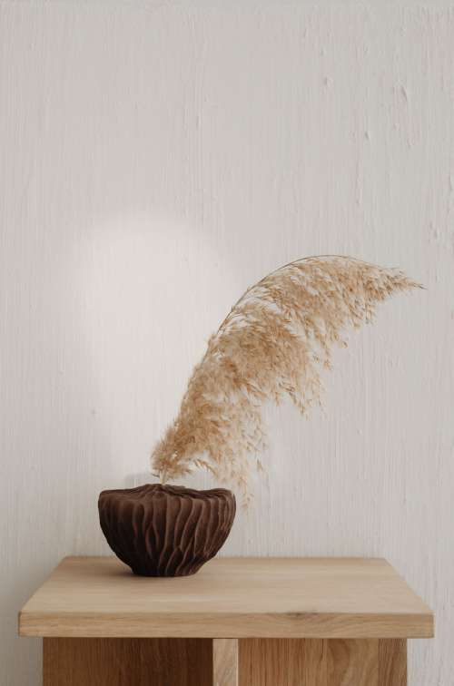 Brown vase with pampas grass