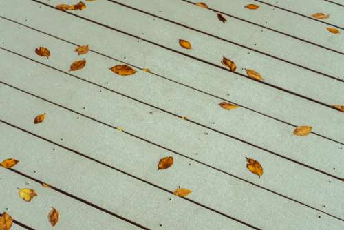 Leaves Deck Autumn No Cost Stock Image