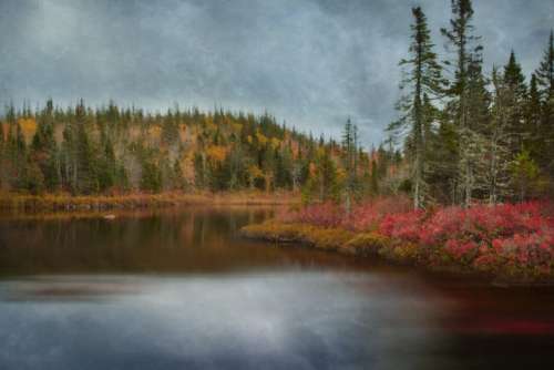 Autumn Lake Landscape No Cost Stock Image