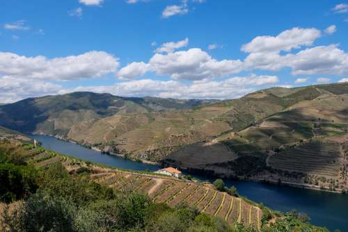 Landscape of Douro Valley