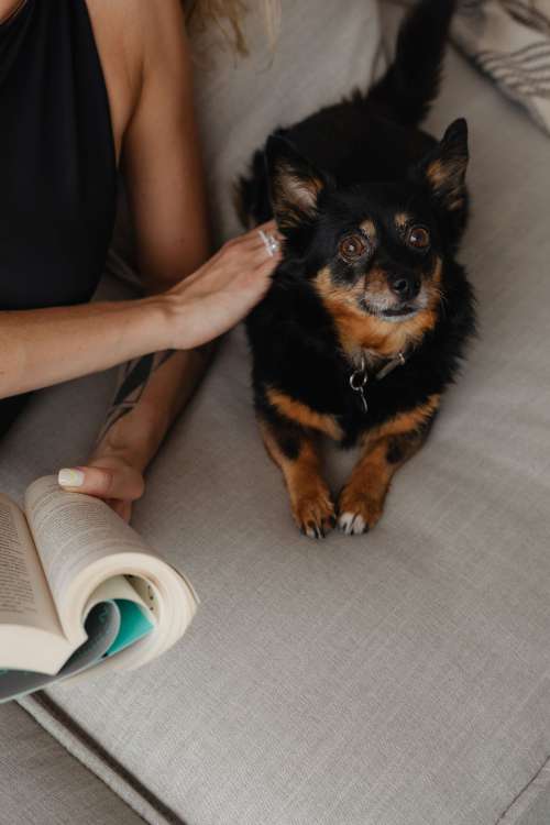 Woman in light-colored jeans with books