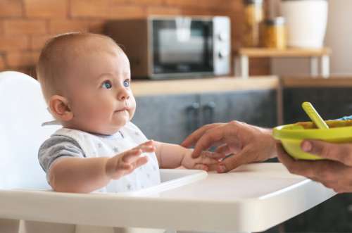 Baby Home Food No Cost Stock Image
