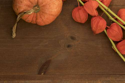 Fall Pumpkins Background No Cost Stock Image