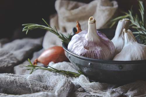 Garlic Spice Healthy No Cost Stock Image