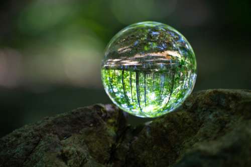 Sphere Glass Nature No Cost Stock Image