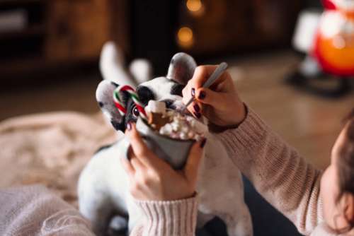 French Bulldog trying to steal Christmas latte with marshmallows