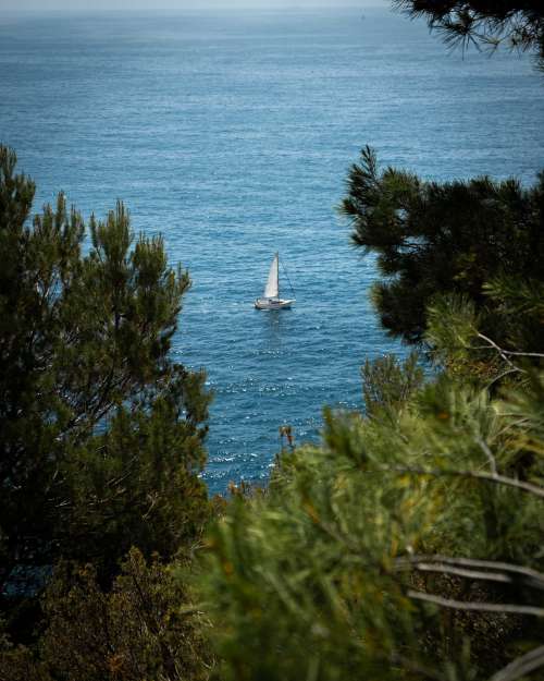 Bateau