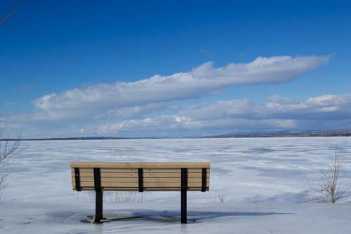 Winter Park Bench No Cost Stock Image