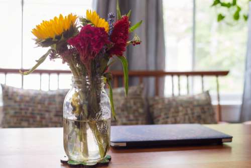Flower Vase Table Free Stock Photo