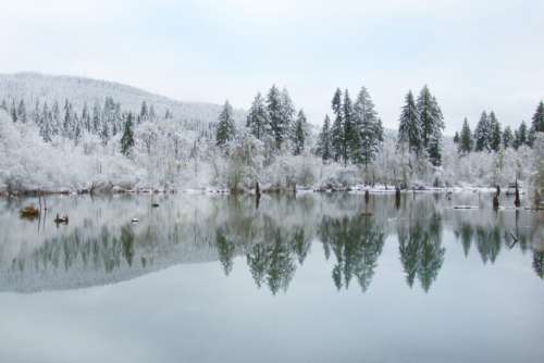 Winter Pond Reflection Free Stock Photo