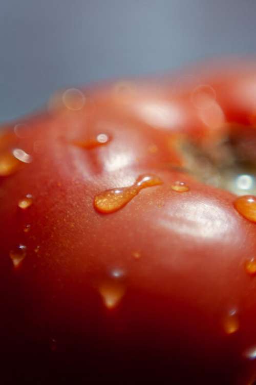 Red Tomato Fresh Free Stock Photo
