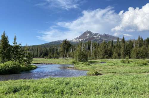 Mountain Landscape Forest Free Stock Photo