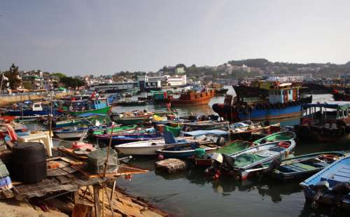 Boats Harbor Water Free Stock Photo