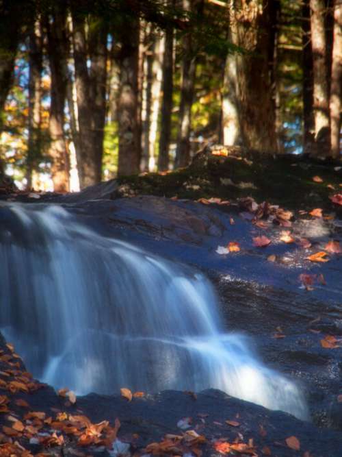 Waterfall Forest Flowing Free Stock Photo