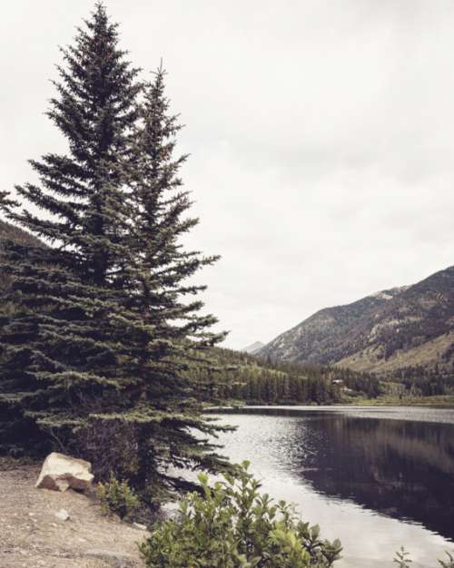 Water Trees Landscape Free Stock Photo