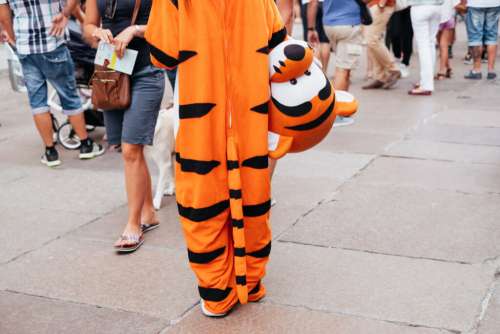 Person in a Disney Winnie the Pooh Tiger costume