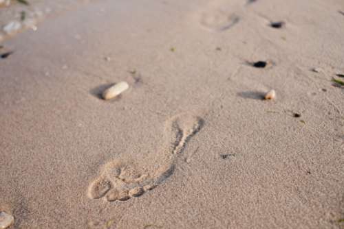Footstep in a wet sand