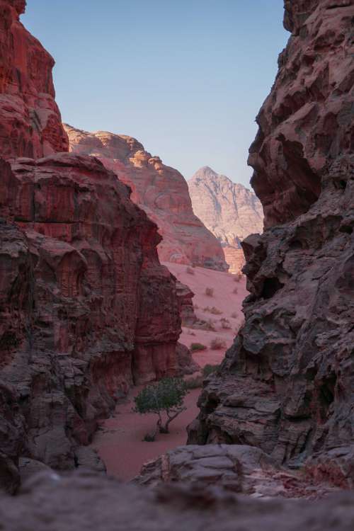 pink canyon