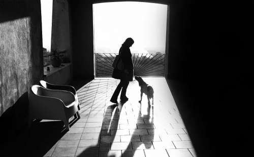 Black And White Photo Of A Person And Their Dog Silhouetted Photo