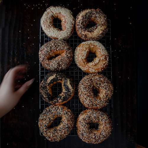 Eight Bagels On A Silver Metal Cooling Rack Photo