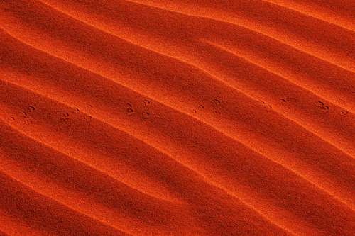 Waves In Vibrant Orange Sand With Small Footprints Photo