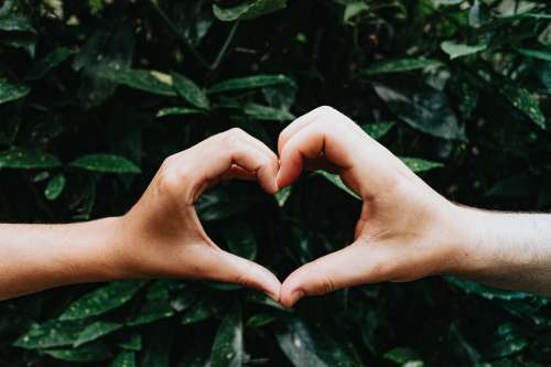 Hands Form A Heart Shape Against Green Leaves Photo
