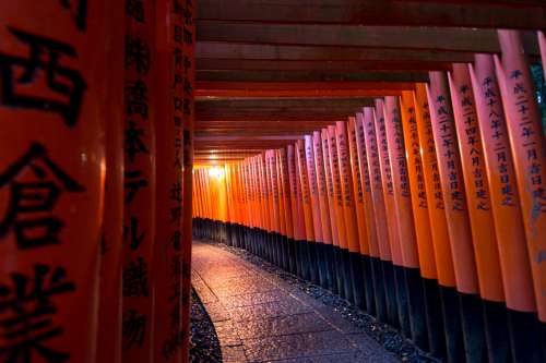 Orange Poles Create A Tunnel Photo
