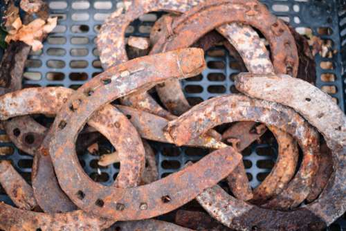 Old rusty horseshoes at a flea market