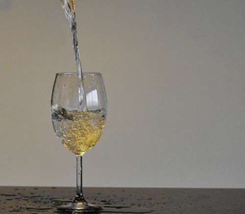 White Wine Glass Free Stock Photo