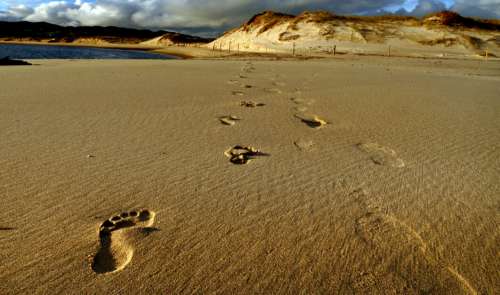 Footprints Sand Beach Free Stock Photo