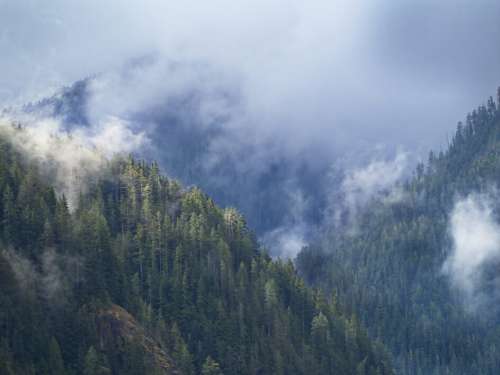Misty Mountains Landscape Free Stock Photo