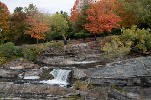Fall Foliage Landscape Free Stock Photo