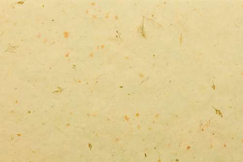 Natural Paper Texture Free Stock Photo