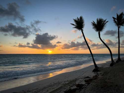 Tropical Beach Sunset Free Stock Photo