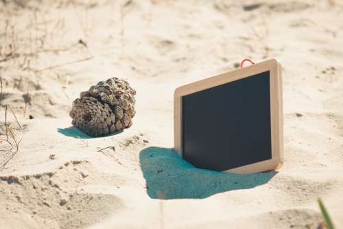 Blank Chalkboard Sticks Out Of The Sand At The Beach Photo