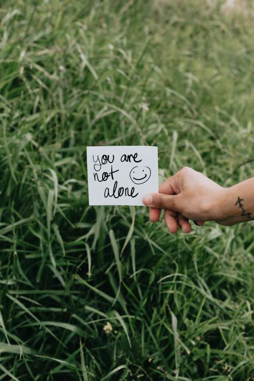 Paper Reads You Are Not Alone Against Tall Grass Photo