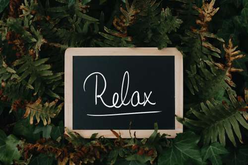 Chalkboard Sits In Green And Brown Ferns And Reads Relax Photo