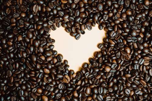 Coffee Beans Laid On A Pink Background Photo