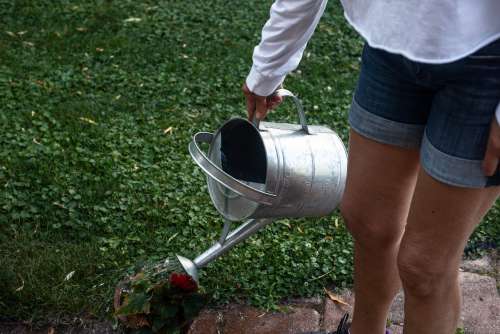 Person Waters Plants With A Watering Can Photo