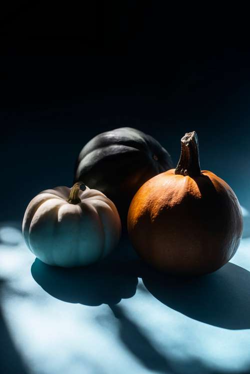 Three Pumpkins Sitting In A Beam Of Light Photo