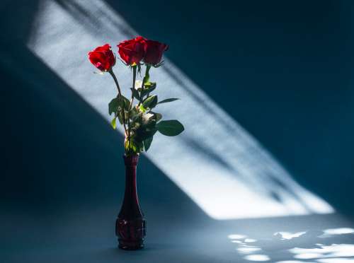 Three Roses In A Red Glass Vase Photo